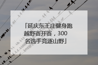 延庆东王庄健身跑越野赛开赛，300名选手竞逐山野