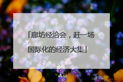 廊坊经洽会，赶一场国际化的经济大集