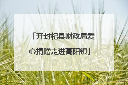 开封杞县财政局爱心捐赠走进高阳镇