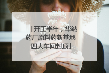 开工半年，华纳药厂原料药新基地四大车间封顶