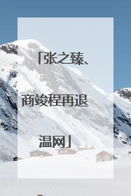 张之臻、商竣程再退温网