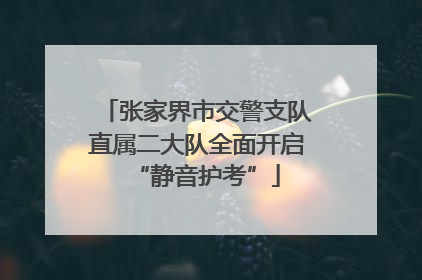 张家界市交警支队直属二大队全面开启“静音护考”