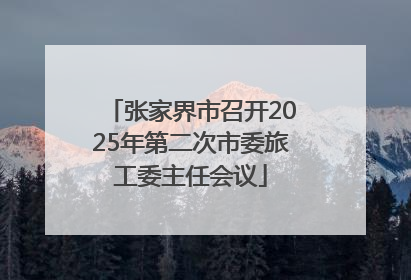 张家界市召开2025年第二次市委旅工委主任会议