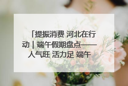 提振消费 河北在行动｜端午假期盘点——人气旺 活力足 端午经济“热浪”迭起