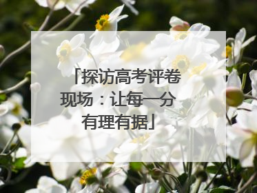 探访高考评卷现场：让每一分有理有据