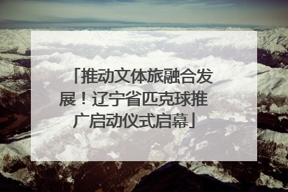 推动文体旅融合发展！辽宁省匹克球推广启动仪式启幕