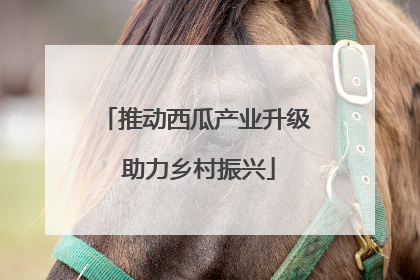 推动西瓜产业升级 助力乡村振兴