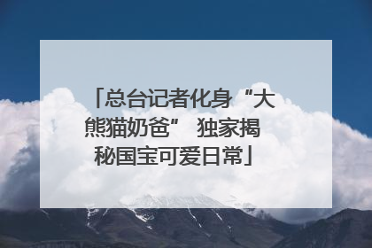 总台记者化身“大熊猫奶爸” 独家揭秘国宝可爱日常