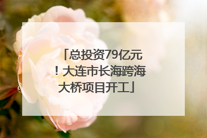 总投资79亿元！大连市长海跨海大桥项目开工