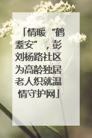 情暖“鹤耋安”，彭刘杨路社区为高龄独居老人织就温情守护网