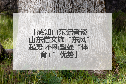 感知山东记者谈丨山东借文旅“东风”起势 不断塑强“体育+”优势