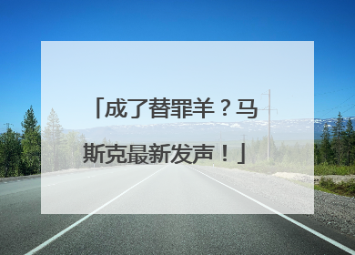 成了替罪羊？马斯克最新发声！