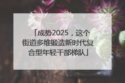 成势2025，这个街道多维锻造新时代复合型年轻干部梯队