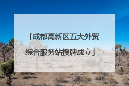 成都高新区五大外贸综合服务站授牌成立