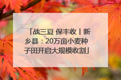 战三夏 保丰收丨新乡县：20万亩小麦种子田开启大规模收割