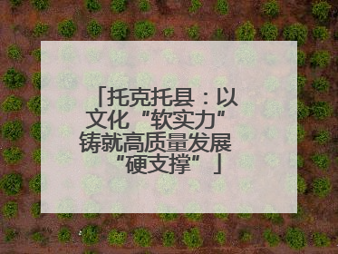 托克托县：以文化“软实力”铸就高质量发展“硬支撑”