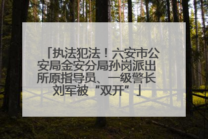 执法犯法！六安市公安局金安分局孙岗派出所原指导员、一级警长刘军被“双开”