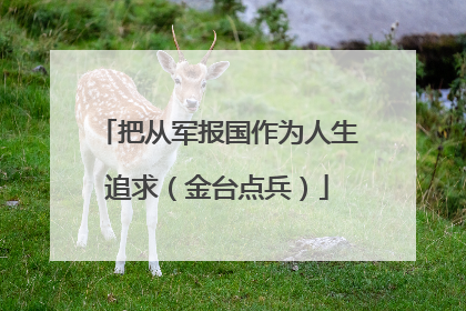把从军报国作为人生追求（金台点兵）