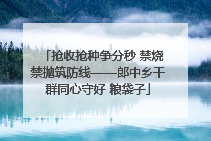 抢收抢种争分秒 禁烧禁抛筑防线——郎中乡干群同心守好 粮袋子