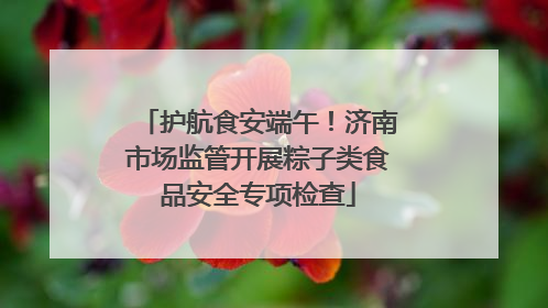 护航食安端午！济南市场监管开展粽子类食品安全专项检查