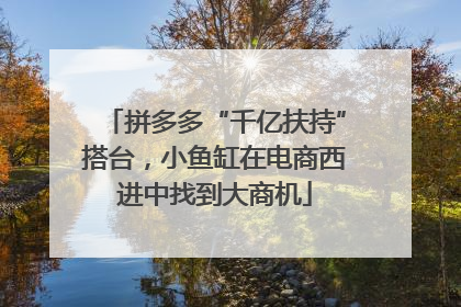 拼多多“千亿扶持”搭台，小鱼缸在电商西进中找到大商机