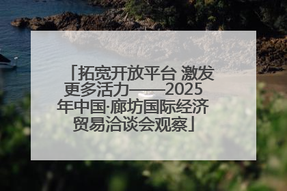 拓宽开放平台 激发更多活力——2025年中国·廊坊国际经济贸易洽谈会观察