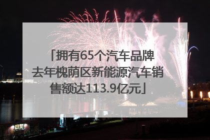 拥有65个汽车品牌 去年槐荫区新能源汽车销售额达113.9亿元