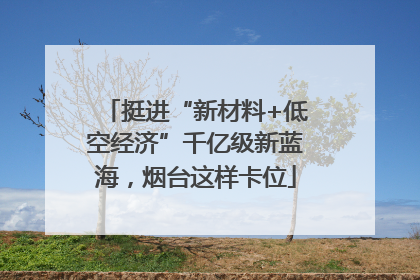 挺进“新材料+低空经济”千亿级新蓝海，烟台这样卡位