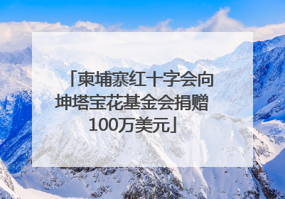 柬埔寨红十字会向坤塔宝花基金会捐赠100万美元