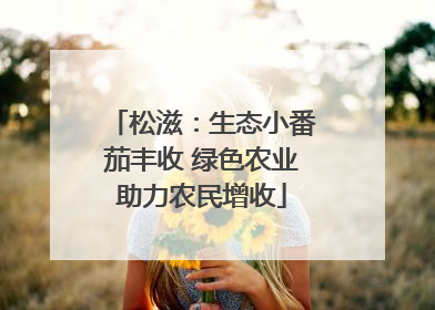 松滋：生态小番茄丰收 绿色农业助力农民增收
