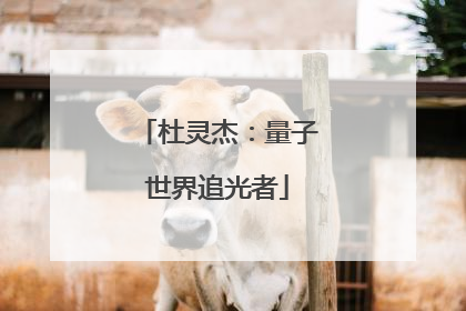 杜灵杰：量子世界追光者