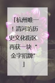 杭州唯一！清河坊历史文化街区再获一块“金字招牌”