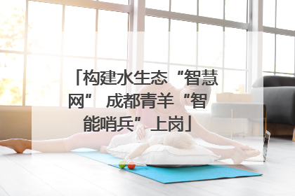 构建水生态“智慧网” 成都青羊“智能哨兵”上岗