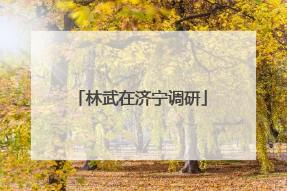 林武在济宁调研