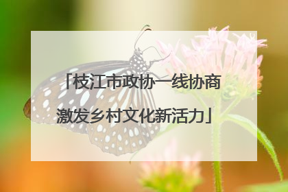 枝江市政协一线协商激发乡村文化新活力