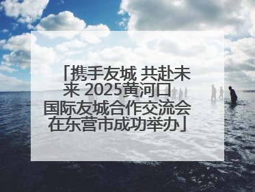 携手友城 共赴未来 2025黄河口国际友城合作交流会在东营市成功举办