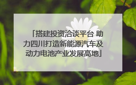 搭建投资洽谈平台 助力四川打造新能源汽车及动力电池产业发展高地