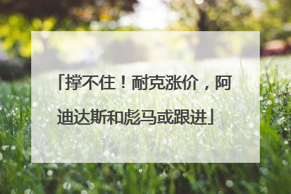 撑不住！耐克涨价，阿迪达斯和彪马或跟进