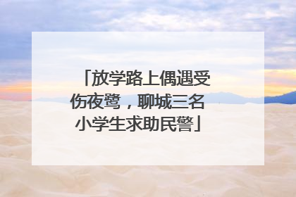 放学路上偶遇受伤夜鹭，聊城三名小学生求助民警