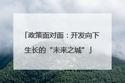 政策面对面：开发向下生长的“未来之城”