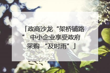 政商沙龙“架桥铺路” 中小企业享受政府采购 “及时雨”