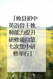 攸县初中英语骨干教师能力提升研修项目第七次集中研修举行
