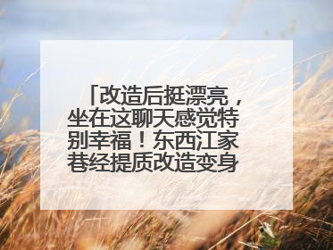 改造后挺漂亮，坐在这聊天感觉特别幸福！东西江家巷经提质改造变身居民自治幸福家