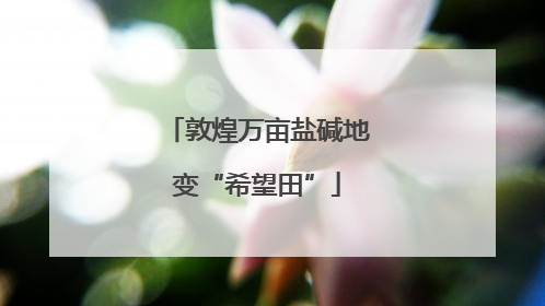 敦煌万亩盐碱地变“希望田”