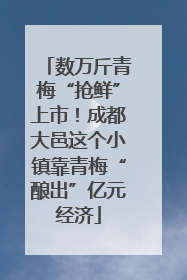 数万斤青梅“抢鲜”上市！成都大邑这个小镇靠青梅“酿出”亿元经济