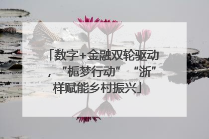 数字+金融双轮驱动，“栀梦行动”“浙”样赋能乡村振兴