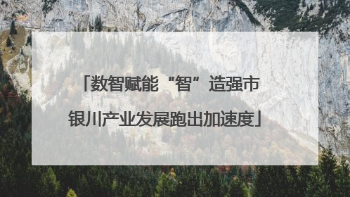 数智赋能“智”造强市 银川产业发展跑出加速度