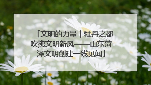 文明的力量｜牡丹之都吹拂文明新风——山东菏泽文明创建一线见闻