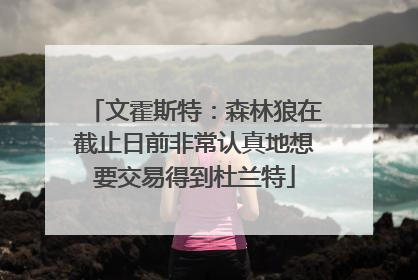 文霍斯特：森林狼在截止日前非常认真地想要交易得到杜兰特