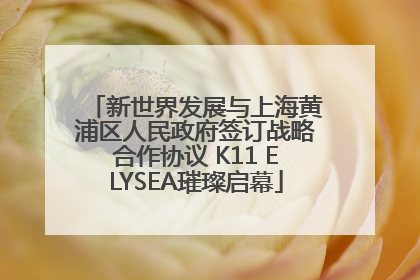 新世界发展与上海黄浦区人民政府签订战略合作协议 K11 ELYSEA璀璨启幕